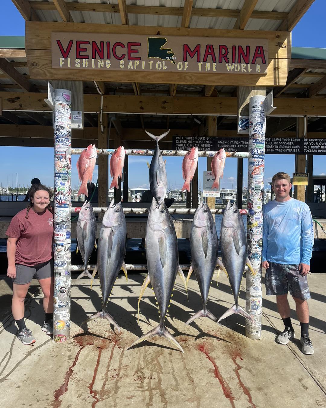 Five big blackfin tuna caught while fishing in Venice
