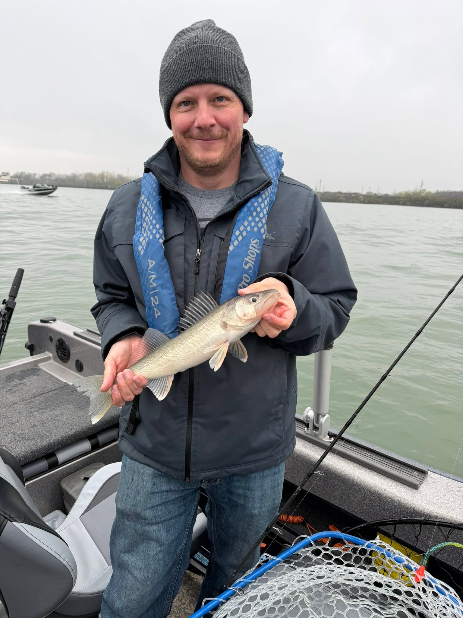 Freshly caught walleye held on fishing boat in Huron Ohio waters