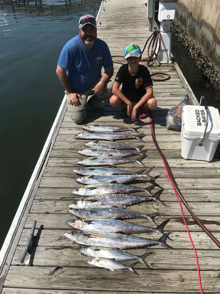 5 king mackerel fish caught in NC