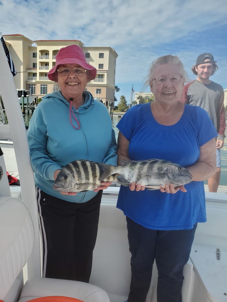 Sheepshead fish caught in FL