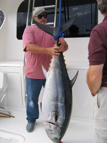 Blackfin tuna, 35-inch fish caught while fishing in MA