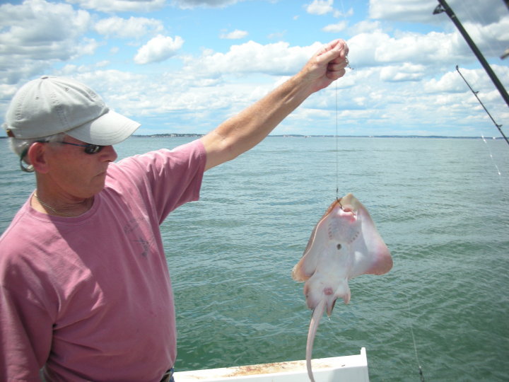 Single angler fishing in Charlestown
