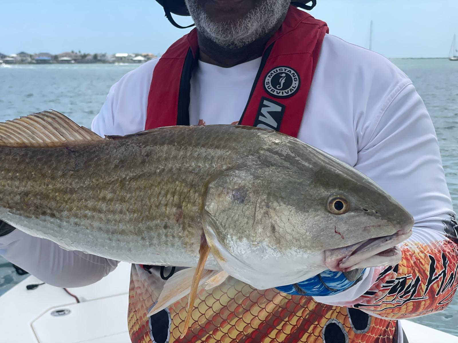 Large redfish caught fishing in St. Augustine FL waters