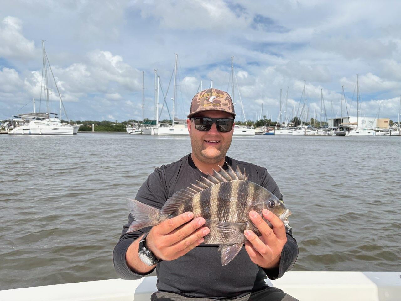 Sheepshead fish caught while fishing in St. Augustine FL with marina boats in background