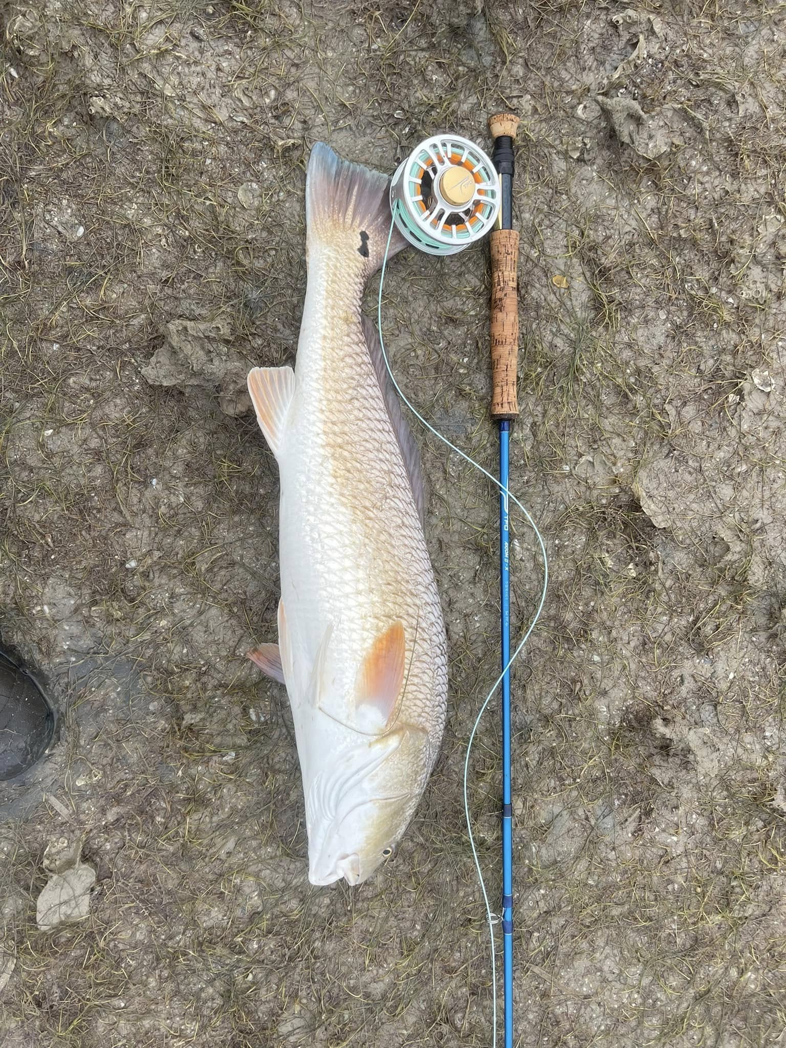 One fish caught on a cruises, fishing, hunting, tours trip in TX