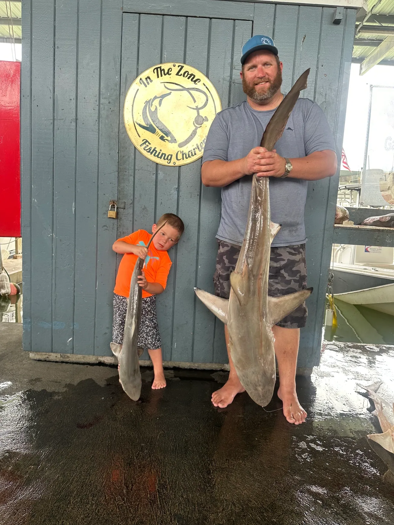 Sandbar shark, fishing in TX