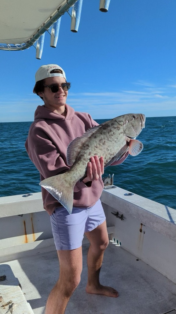 Gag Grouper fish caught while fishing in FL