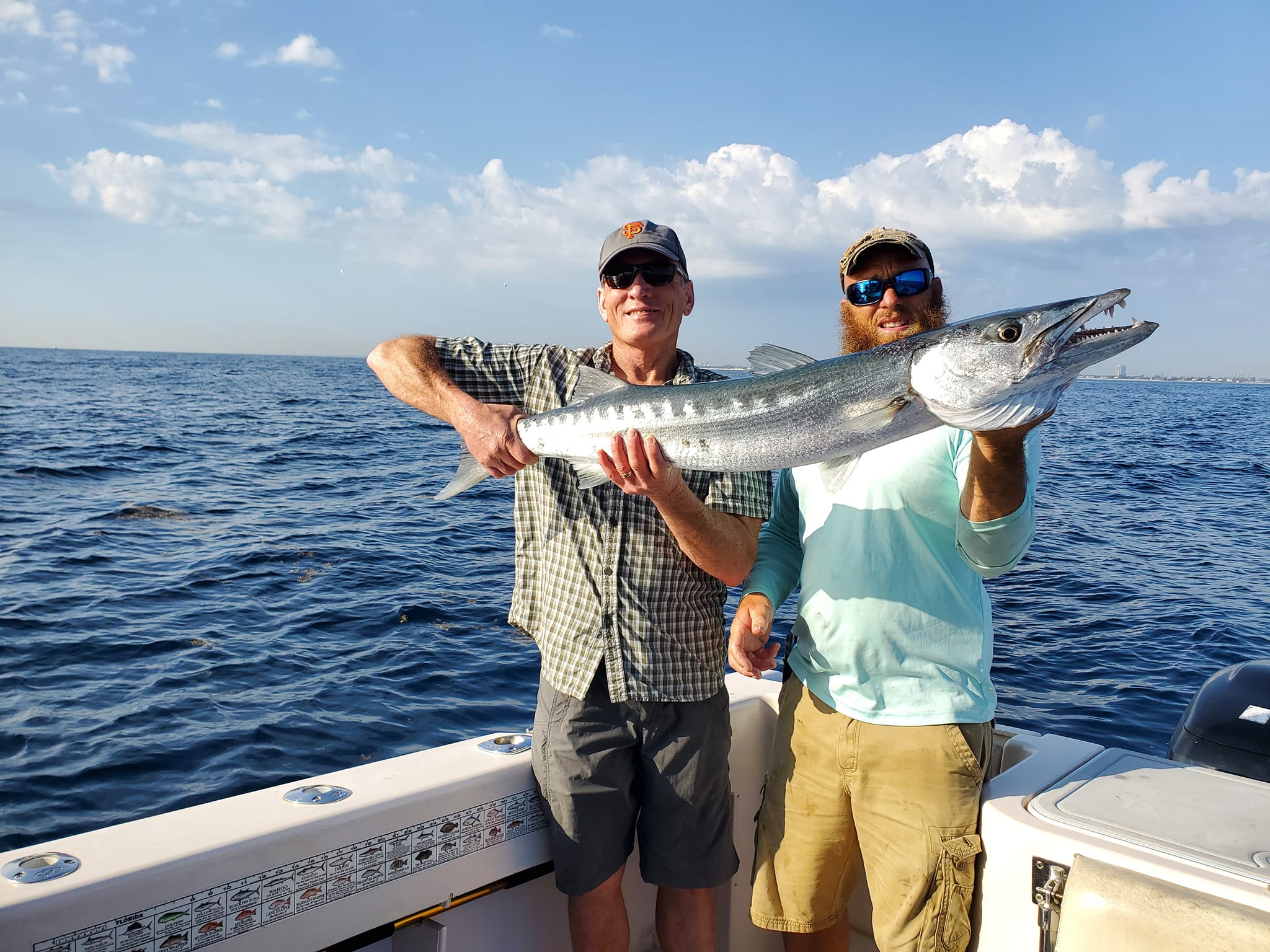 A large Great Barracuda fish caught in the waters of FL.
