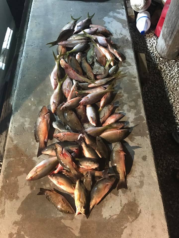 Fishing in FL
