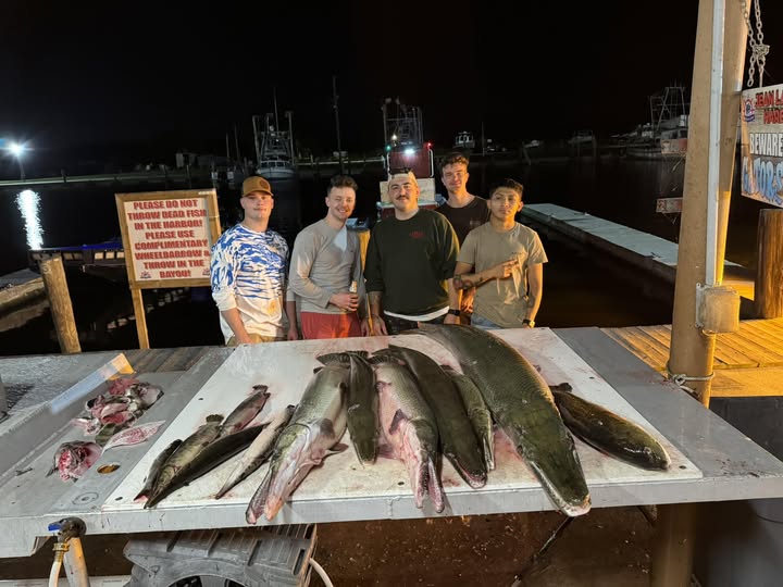 Fresh caught fish including Alligator Gar displayed on cleaning table at marina dock in Lafitte LA