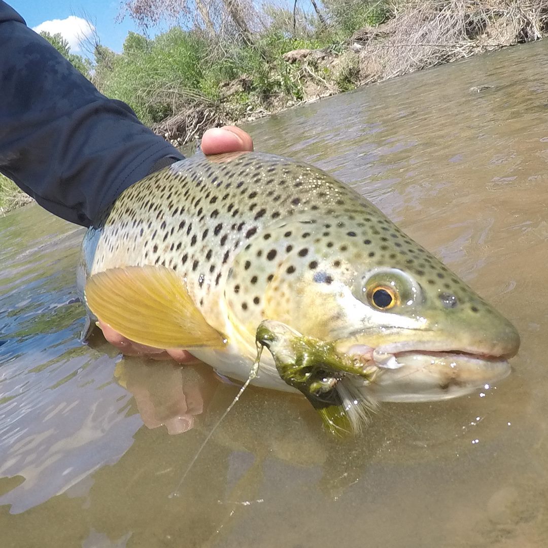 A picturesque fishing spot in Roy
