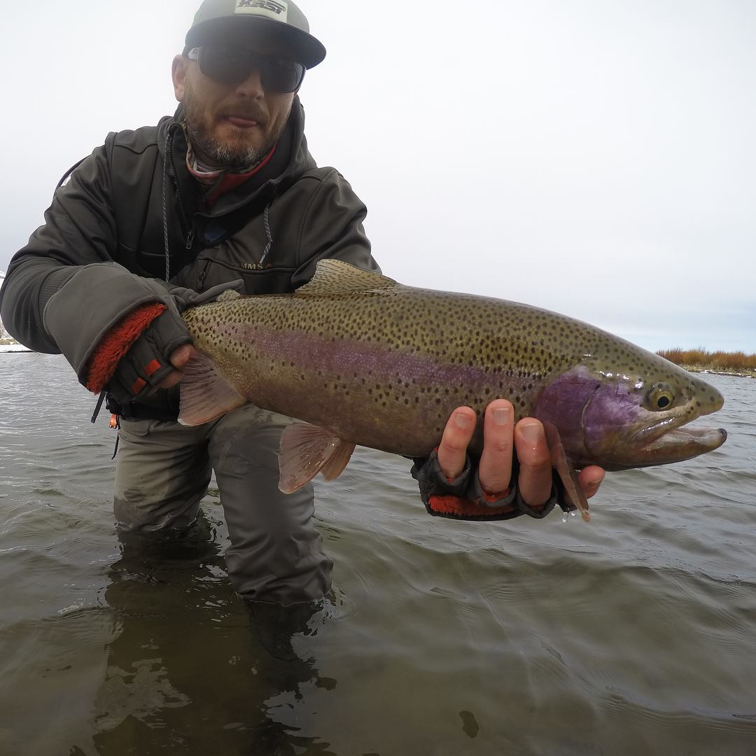 A single rainbow trout caught while fishing in Roy