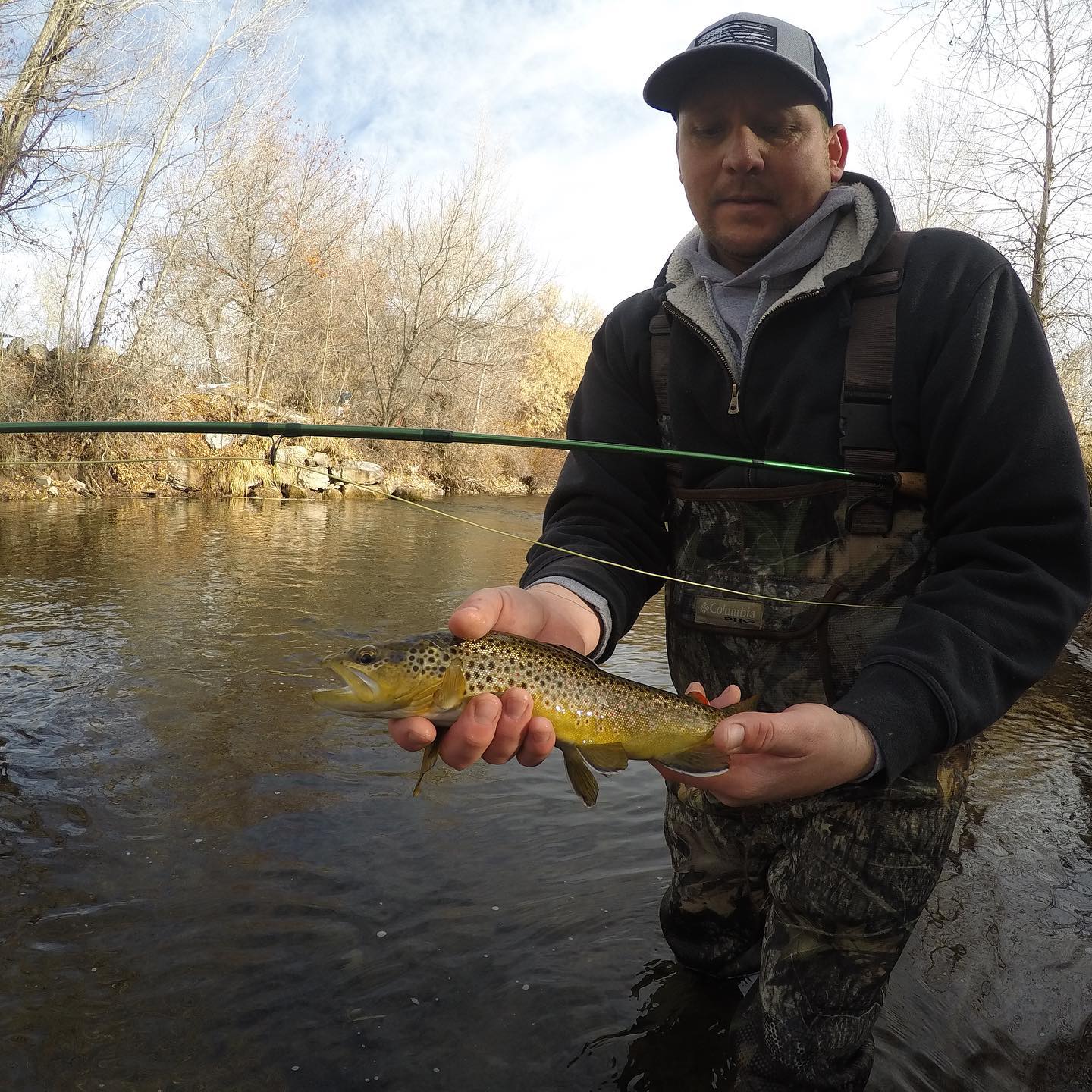 Sea trout fishing in Roy