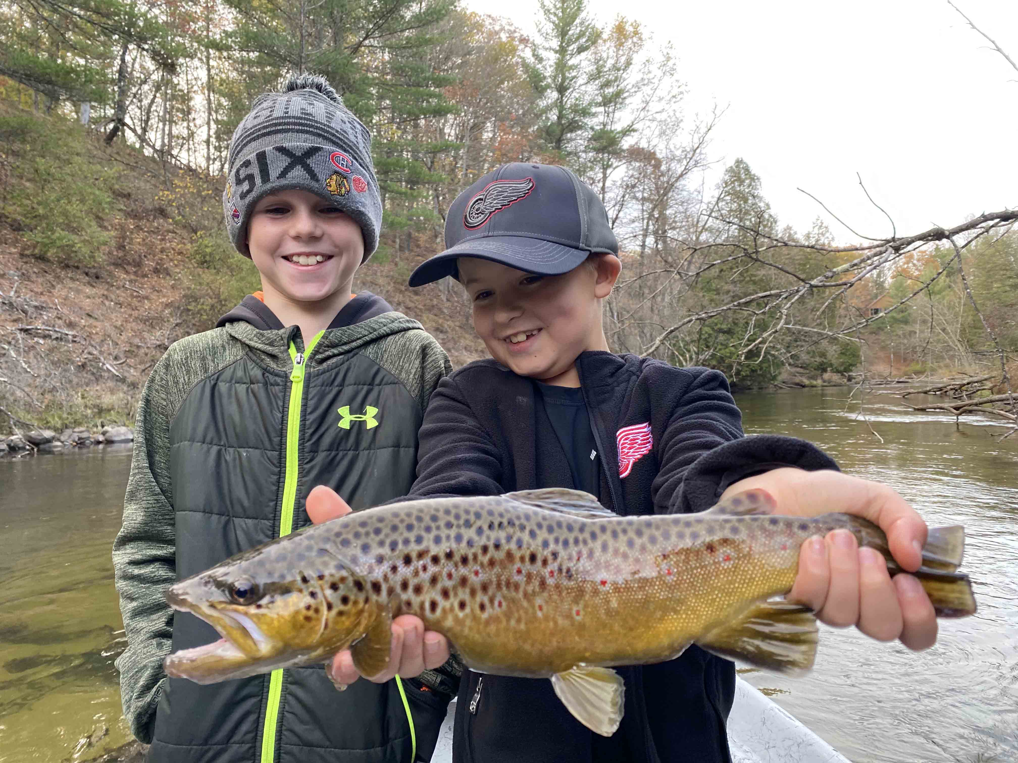 Brown Trout Fishing in Pere Marquette River