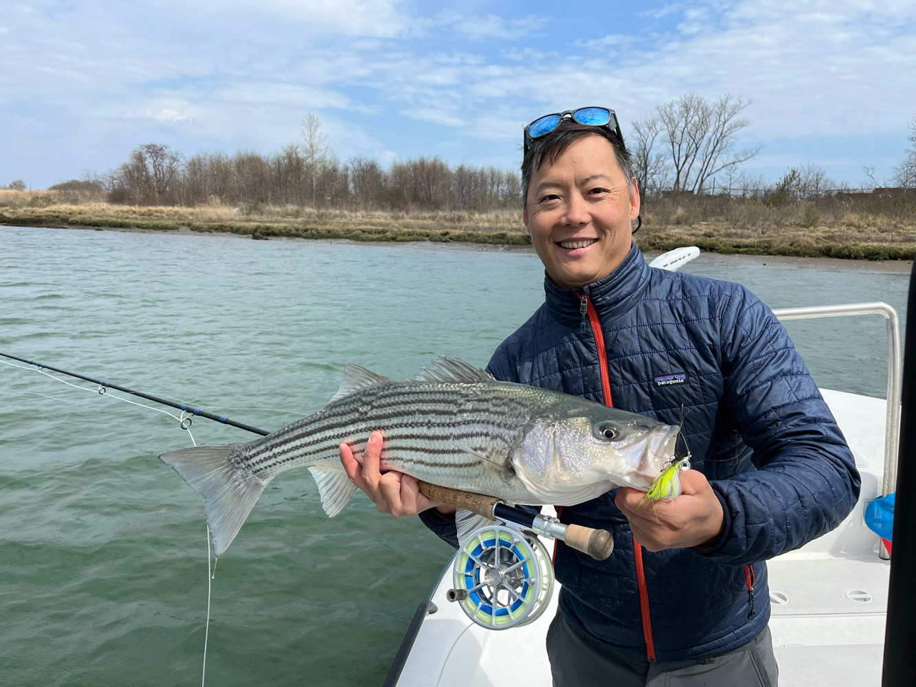 Striped bass caught in Brooklyn