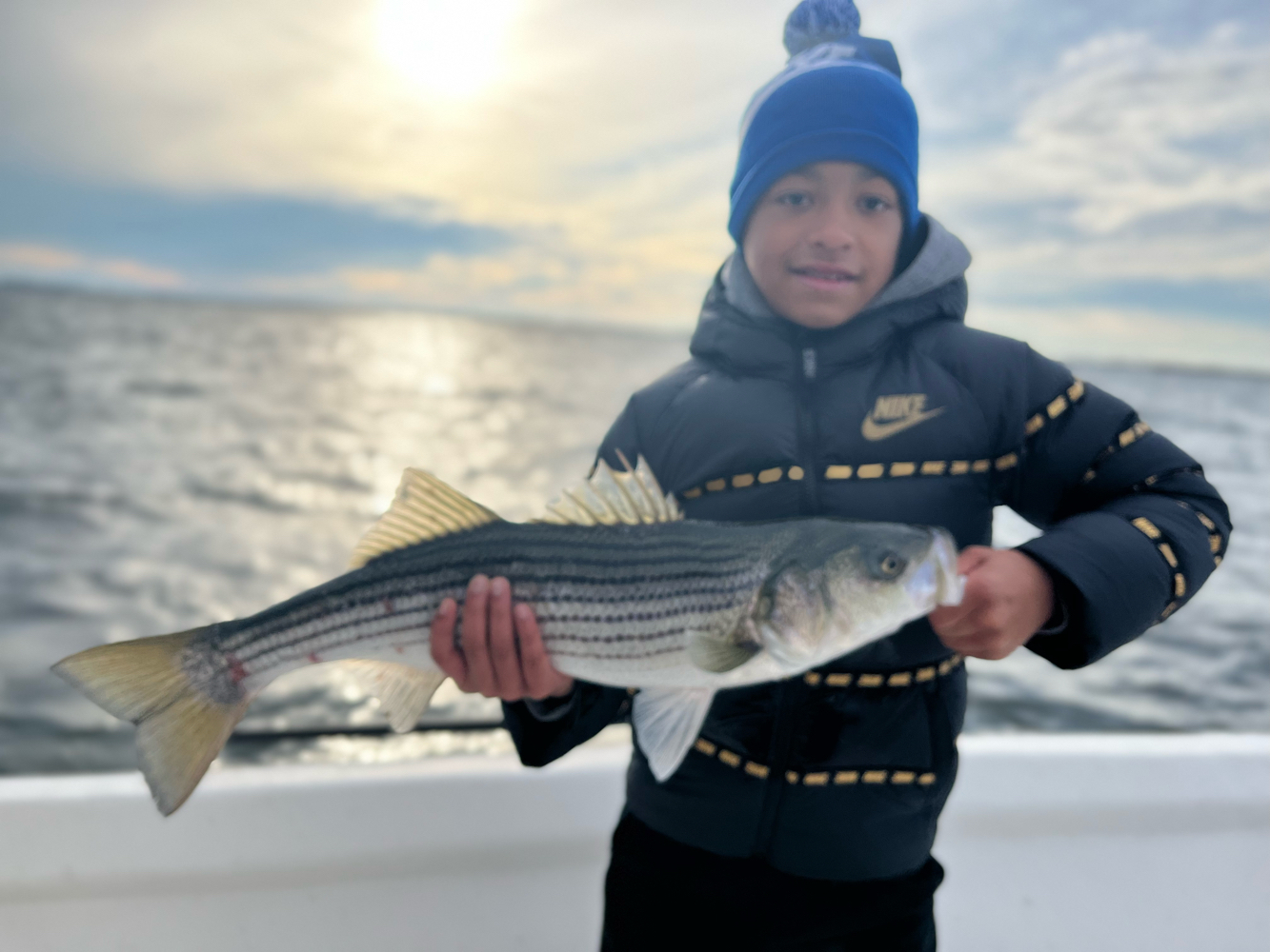 Striped bass caught in Brooklyn