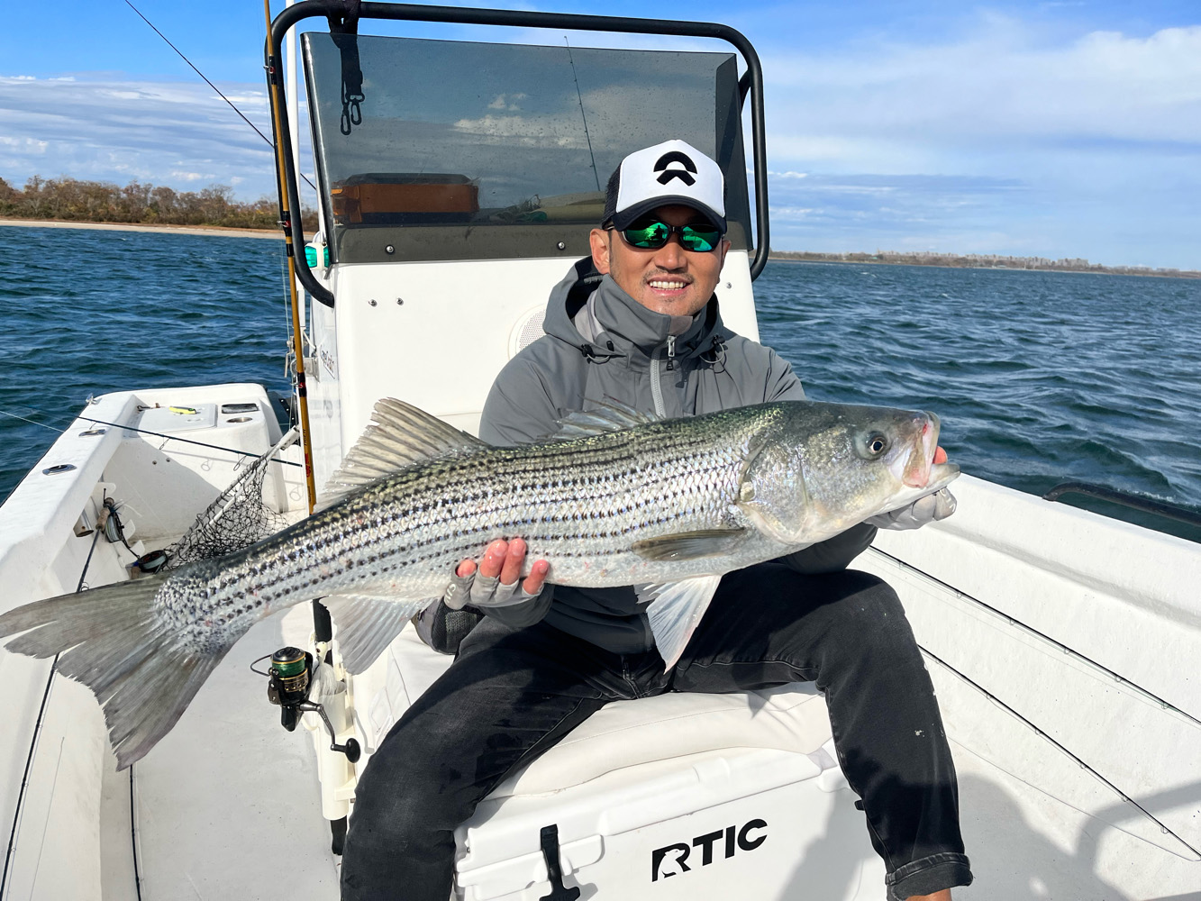 Striped bass caught in NY
