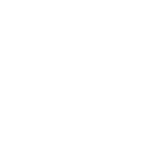 Play Icon
